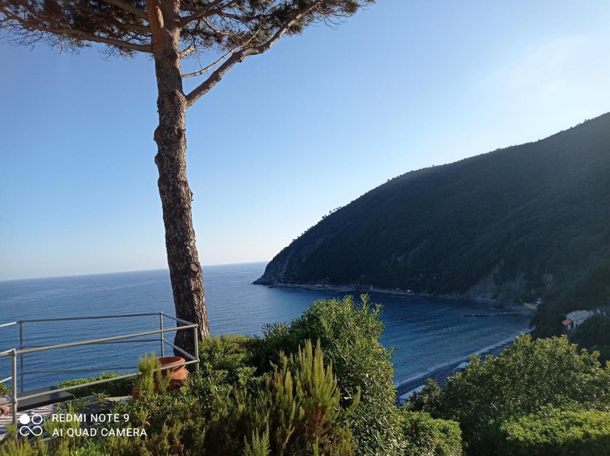 Casafischea19 Appartement Moneglia Buitenkant foto