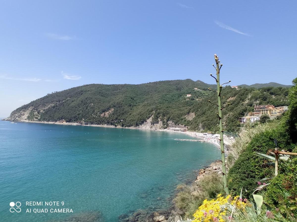 Casafischea19 Appartement Moneglia Buitenkant foto